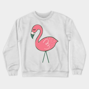 Anytime Flamingos Crewneck Sweatshirt